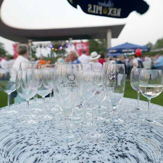 SPD_BB_Sommerfest_2016_16