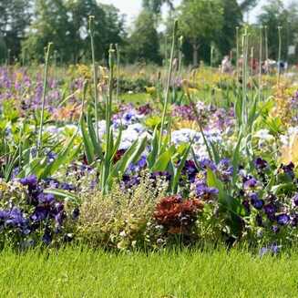 Laga 2019 Wittstock/Dosse