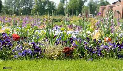 Laga 2019 Wittstock/Dosse