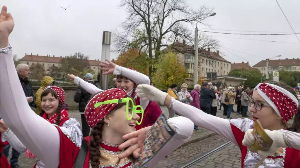 Narrenschaft in der Havelstadt