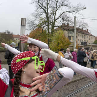 Narrenschaft in der Havelstadt