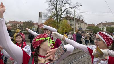 Narrenschaft in der Havelstadt