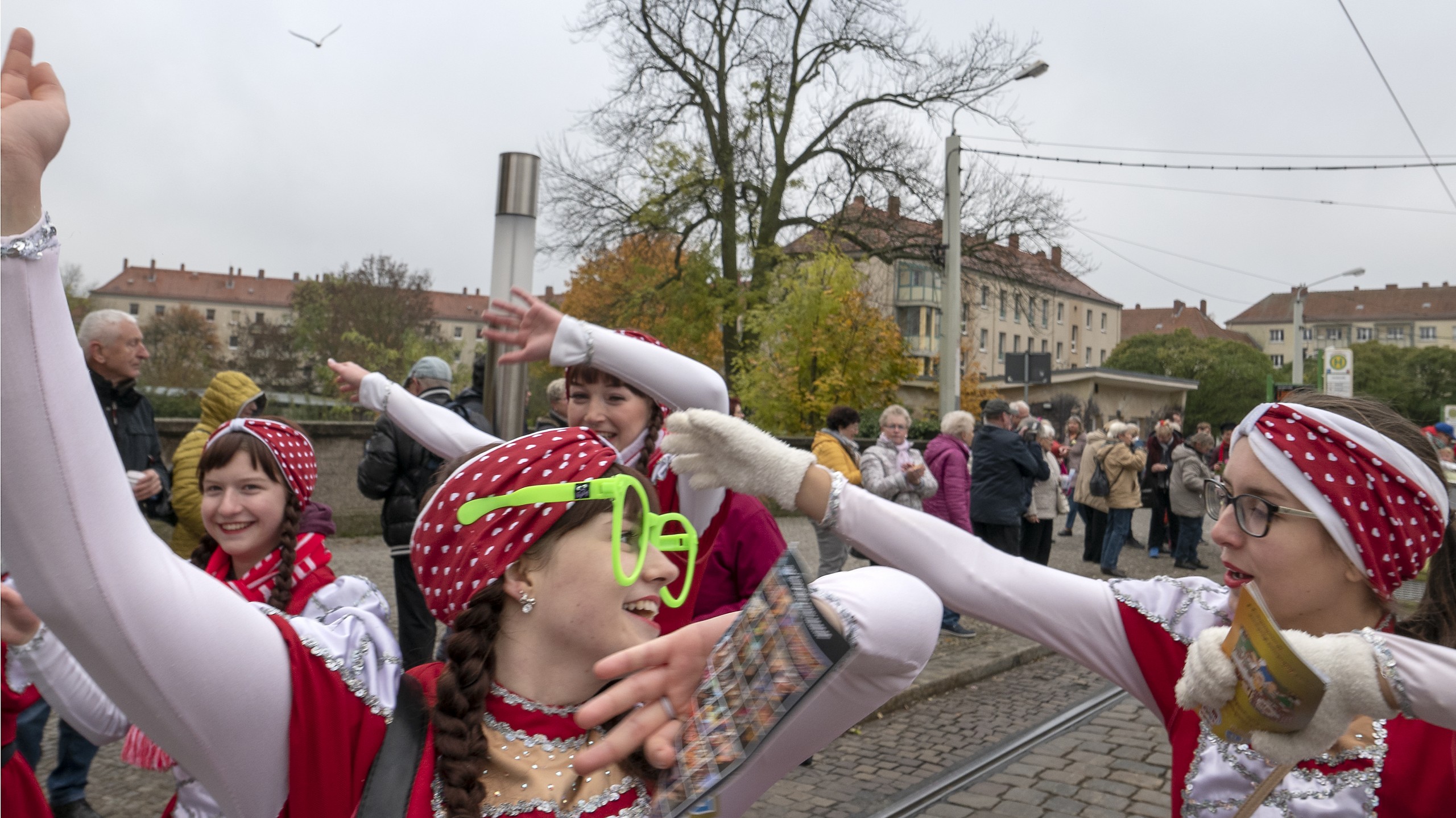 Narrenschaft in der Havelstadt