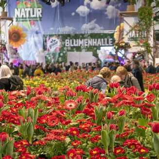 Blumenhalle auf der IGW