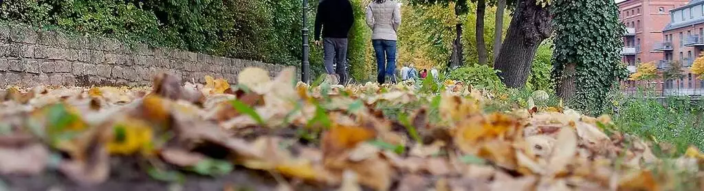 Der Weg zu den sozialen Medien