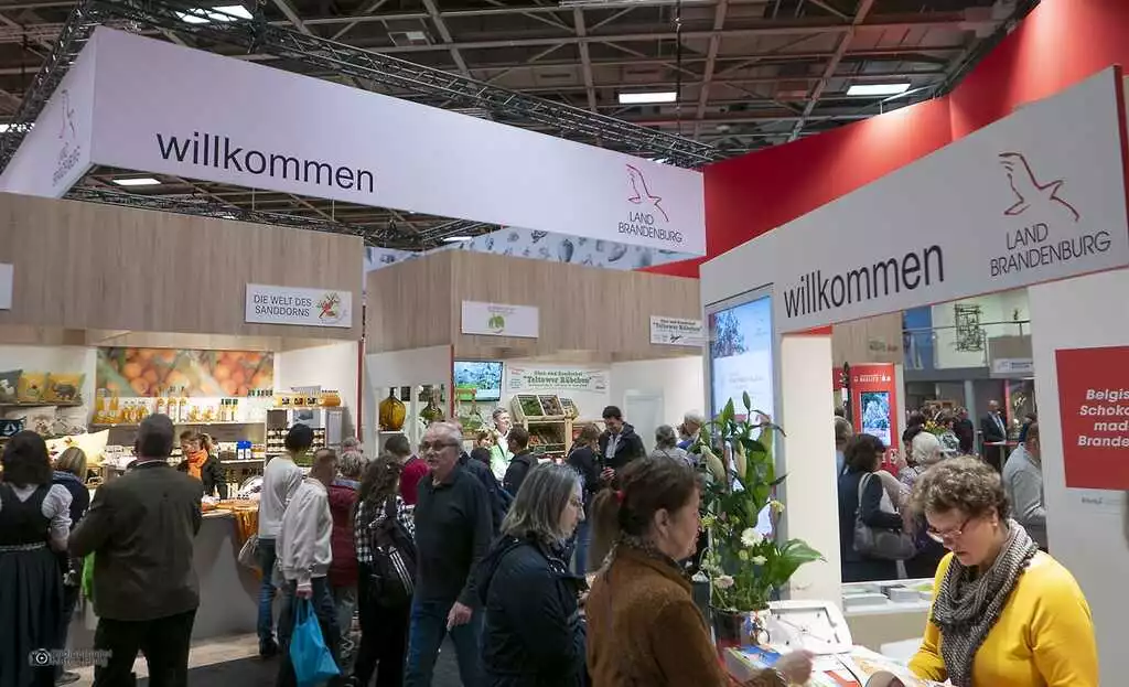 Brandenburg-Halle 2020