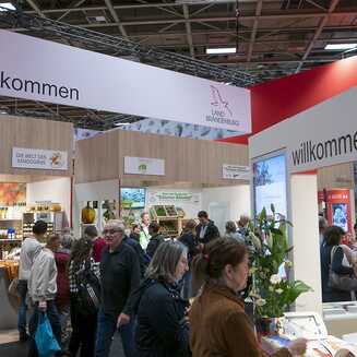 Brandenburg-Halle 2020