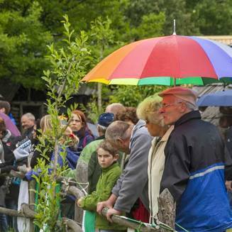 Rolandspectaculum 2013 5