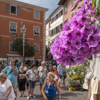 Italien 113