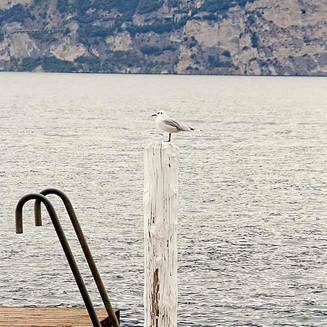 Italien 25