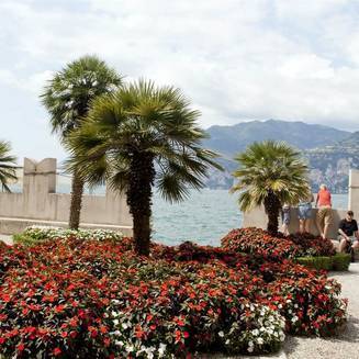 Italien 44