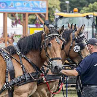 Titanen der Rennbahn 2013: Ein Rückblick auf das Event - Fotobrb: Faszination Fotografie aus Brandenburg an der Havel Titanen 2013 2