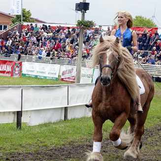 Titanen der Rennbahn 2013: Ein Rückblick auf das Event - Fotobrb: Faszination Fotografie aus Brandenburg an der Havel Titanen 2013 21