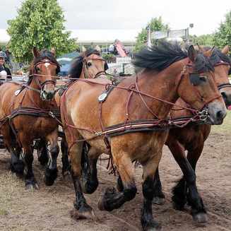 Titanen der Rennbahn 2013: Ein Rückblick auf das Event - Fotobrb: Faszination Fotografie aus Brandenburg an der Havel Titanen 2013 22