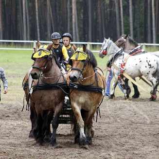 Titanen der Rennbahn 2013: Ein Rückblick auf das Event - Fotobrb: Faszination Fotografie aus Brandenburg an der Havel Titanen 2013 23