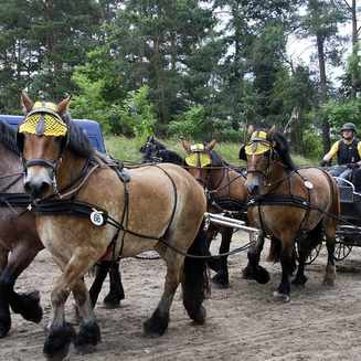 Titanen der Rennbahn 2013: Ein Rückblick auf das Event - Fotobrb: Faszination Fotografie aus Brandenburg an der Havel Titanen 2013 24