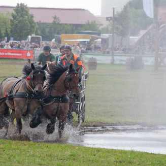 Titanen der Rennbahn 2013: Ein Rückblick auf das Event - Fotobrb: Faszination Fotografie aus Brandenburg an der Havel Titanen 2013 26