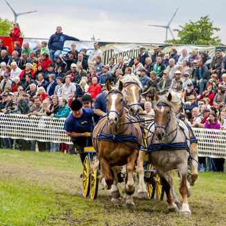 Titanen der Rennbahn 2013: Ein Rückblick auf das Event - Fotobrb: Faszination Fotografie aus Brandenburg an der Havel Titanen 2013 29