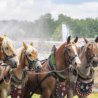 Titanen der Rennbahn 2013: Ein Rückblick auf das Event - Fotobrb: Faszination Fotografie aus Brandenburg an der Havel Titanen 2013 3