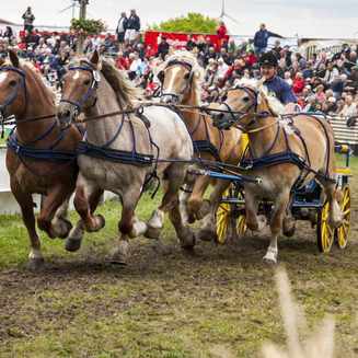 12. Auflage der „Titanen der Rennbahn“ in Brück