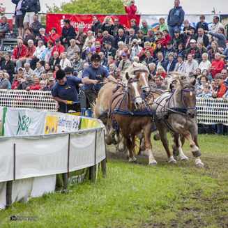 Titanen der Rennbahn 2013: Ein Rückblick auf das Event - Fotobrb: Faszination Fotografie aus Brandenburg an der Havel Titanen 2013 31