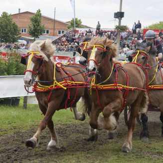 Titanen der Rennbahn 2013: Ein Rückblick auf das Event - Fotobrb: Faszination Fotografie aus Brandenburg an der Havel Titanen 2013 34