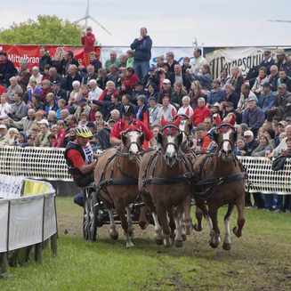 Titanen der Rennbahn 2013: Ein Rückblick auf das Event - Fotobrb: Faszination Fotografie aus Brandenburg an der Havel Titanen 2013 35