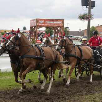 Titanen der Rennbahn 2013: Ein Rückblick auf das Event - Fotobrb: Faszination Fotografie aus Brandenburg an der Havel Titanen 2013 36