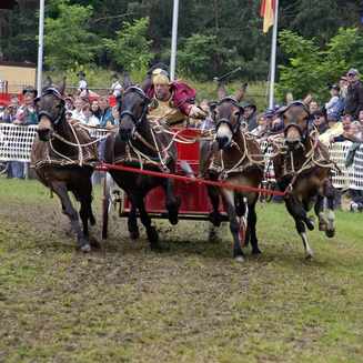Titanen der Rennbahn 2013: Ein Rückblick auf das Event - Fotobrb: Faszination Fotografie aus Brandenburg an der Havel Titanen 2013 54