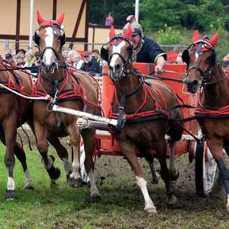 Titanen der Rennbahn 2013: Ein Rückblick auf das Event - Fotobrb: Faszination Fotografie aus Brandenburg an der Havel Titanen 2013 57