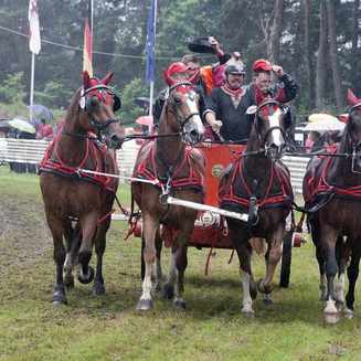 Titanen der Rennbahn 2013: Ein Rückblick auf das Event - Fotobrb: Faszination Fotografie aus Brandenburg an der Havel Titanen 2013 59