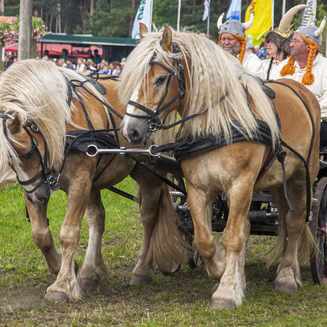 Titanen der Rennbahn 2013: Ein Rückblick auf das Event - Fotobrb: Faszination Fotografie aus Brandenburg an der Havel Titanen 2013 7