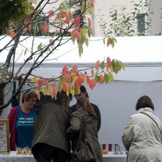 Regionalmarkt & Modenschau im Pauli Kloster - Fotobrb: Faszination Fotografie aus Brandenburg an der Havel 10648372 756521804386724 4548563224161517990 o