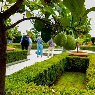 IGA Berlin: „MEHR aus Farben“ - Fotobrb: Faszination Fotografie aus Brandenburg an der Havel IGA Berlin 2017 12