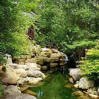 IGA Berlin: „MEHR aus Farben“ - Fotobrb: Faszination Fotografie aus Brandenburg an der Havel IGA Berlin 2017 14