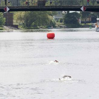24_Brandenburger_Brueckenschwimmen_2014_28
