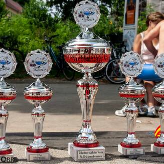 24_Brandenburger_Brueckenschwimmen_2014_5