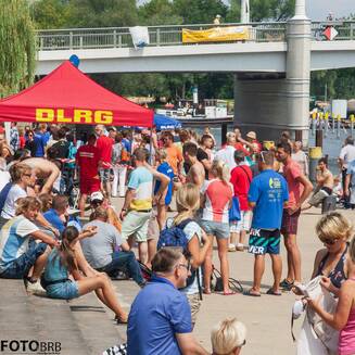 24_Brandenburger_Brueckenschwimmen_2014_7