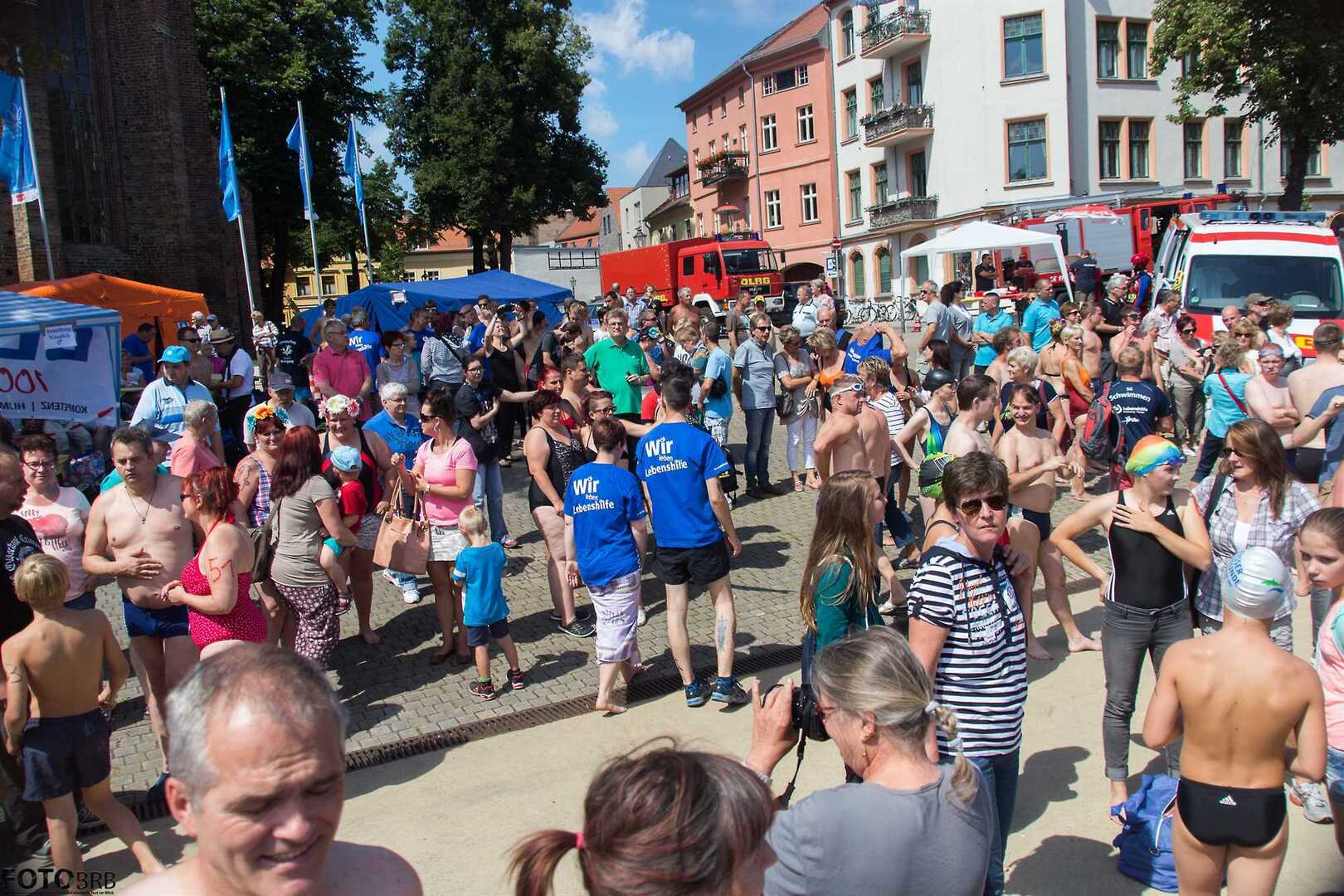 Großes Interesse an der Brandenburger Havel zum 25. Brückenschwimmen