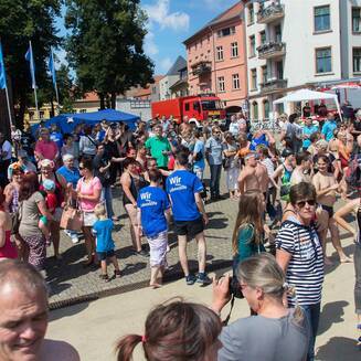Großes Interesse an der Brandenburger Havel zum 25. Brückenschwimmen