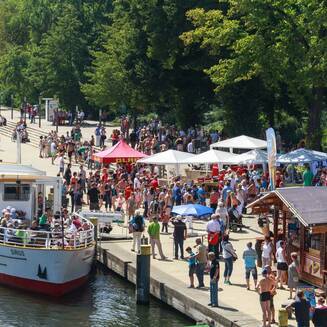 Großes Interesse an der Brandenburger Havel zum 25. Brückenschwimmen