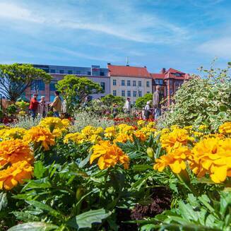 Gartern_Markt_2014__10