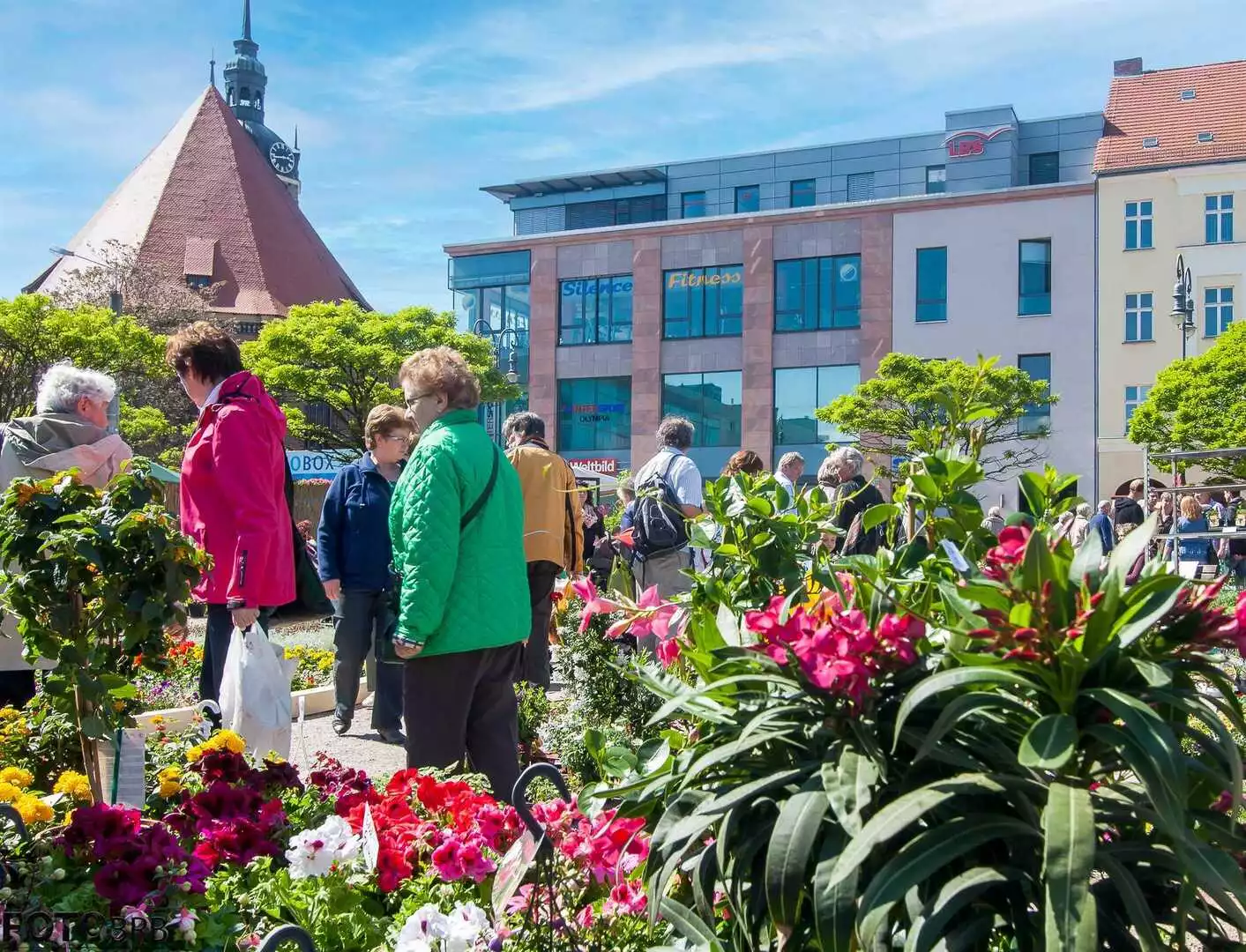 Gartenmarkt aus dem Jahr 2014