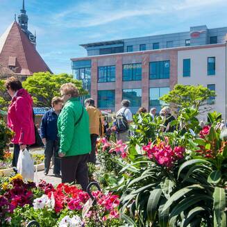 Gartenmarkt aus dem Jahr 2014