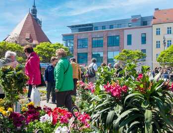 Gartenmarkt aus dem Jahr 2014