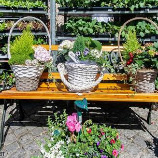 Gartern_Markt_2014__13