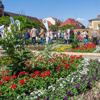 Gartern_Markt_2014__9