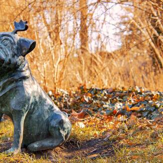 „Waldmops-Bande“ ganz nah auf dessen Spuren - Fotobrb: Faszination Fotografie aus Brandenburg an der Havel Waldmops___12