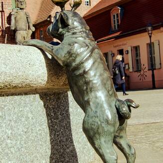 „Waldmops-Bande“ ganz nah auf dessen Spuren - Fotobrb: Faszination Fotografie aus Brandenburg an der Havel Waldmops___2