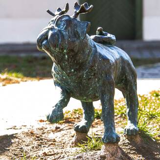 „Waldmops-Bande“ ganz nah auf dessen Spuren - Fotobrb: Faszination Fotografie aus Brandenburg an der Havel Waldmops___4